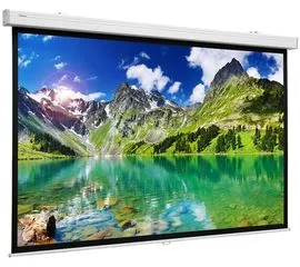 Экран для проектора Projecta Hapro CSR 220x220, Диагональ: 122''