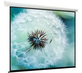 Экран для проектора ViewScreen Breston 297x186 (EBR-16106), Диагональ: 138''