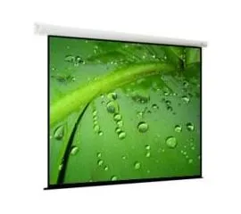 Экран для проектора ViewScreen Breston 358x266 (MW EBR-4308), Диагональ: 176''