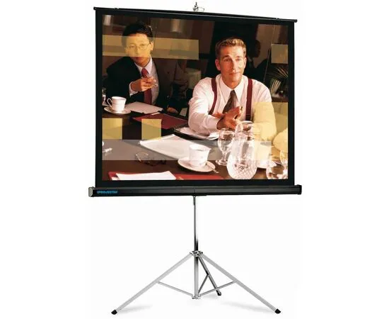 Экран для проектора Projecta Picture King 152x152, Диагональ: 81''