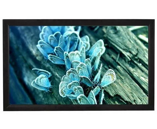 Экран для проектора ViewScreen Omega Velvet 219x143, Диагональ: 94''