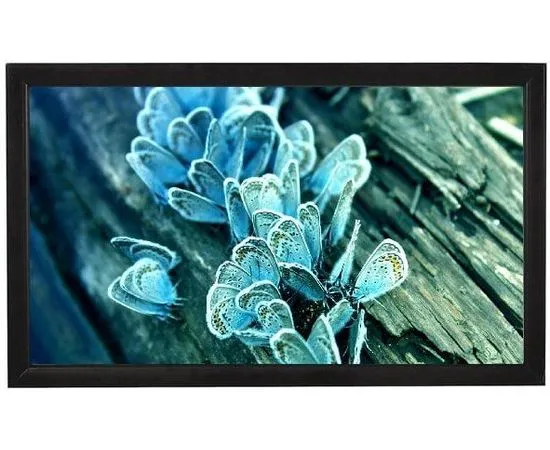 Экран для проектора ViewScreen Omega 250x148 (OMG-16901), Диагональ: 106''