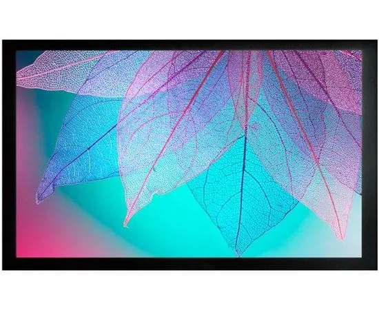 Экран для проектора CACTUS FrameExpert 300x169 (CS-PSFRE-300X169), Диагональ: 135''