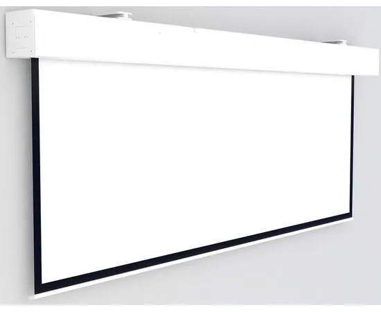 Экран для проектора Projecta Elpro Large Electrol 500x286, Диагональ: 221''