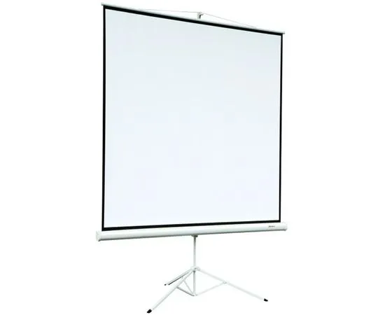 Экран для проектора DIGIS Kontur-A 174x129 (DSKA-4302), Диагональ: 85''