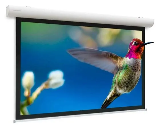 Экран для проектора Projecta Elpro Concept Electrol 220x128, Диагональ: 95''