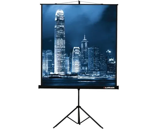 Экран для проектора Lumien Master View 236x175, Диагональ: 116''
