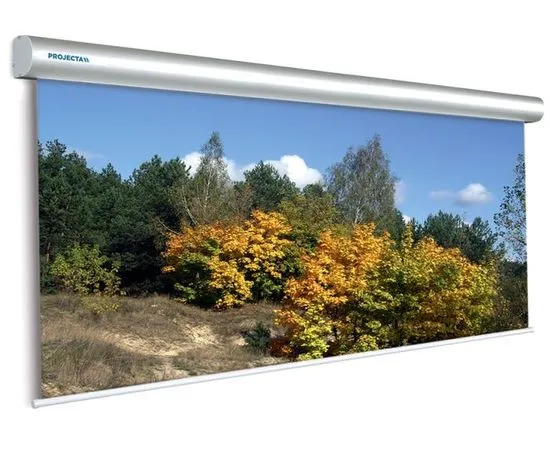 Экран для проектора Projecta Master Electrol 400x300, Диагональ: 197''