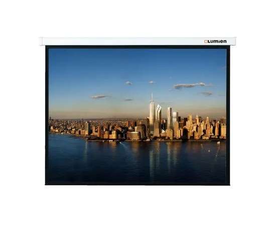 Настенный экран Lumien Master Picture 203x300см
