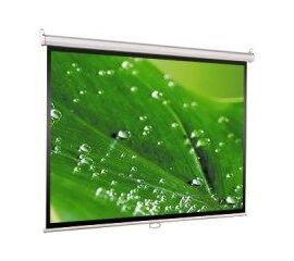 Экран для проектора ViewScreen Scroll 160x160 (MW WSC-1104), Диагональ: 89''