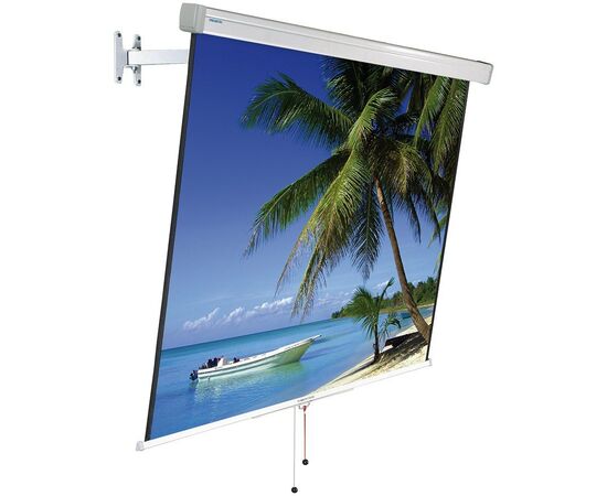 Экран для проектора Projecta FlexScreen 160x160, Диагональ: 89''