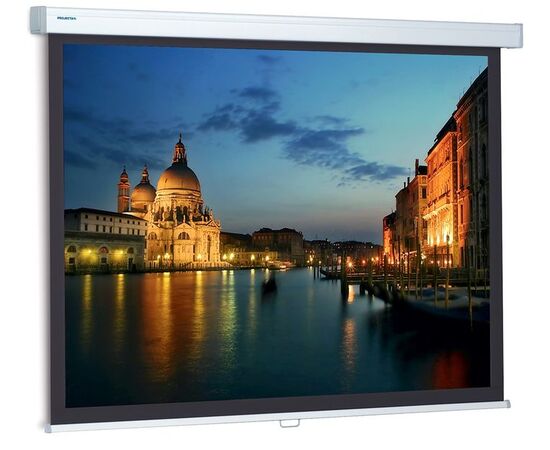 Экран для проектора Projecta ProScreen 160x160, Диагональ: 84''