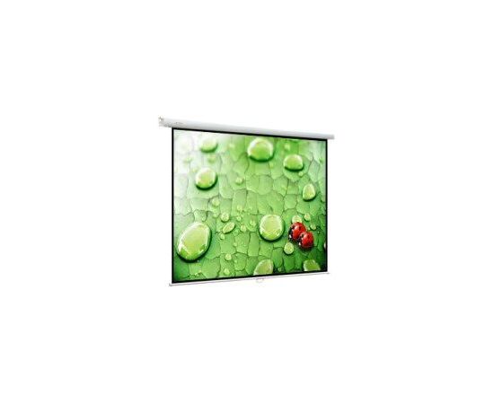 Экран для проектора ViewScreen Lotus 244x244, Диагональ: 136''