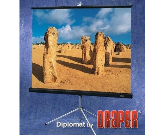Экран для проектора Draper Diplomat 178x178, Диагональ: 70''
