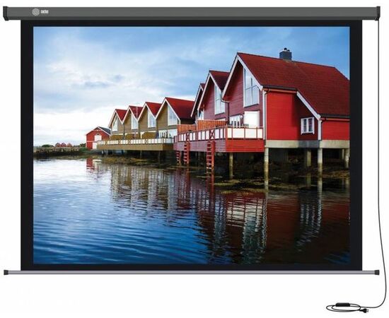 Экран для проектора CACTUS Professional Motoscreen 299x168, Диагональ: 135''