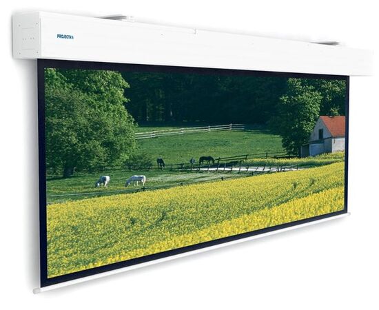 Экран для проектора Projecta Elpro Large Electrol 400x300, Диагональ: 190''