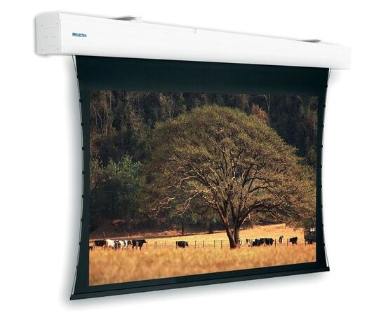 Экран для проектора Projecta Tensioned Elpro Large Electrol 400x300, Диагональ: 191''